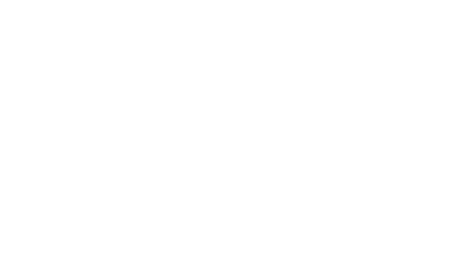 Zhaofeng