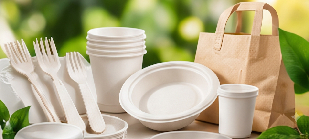 Biodegradable Plastic